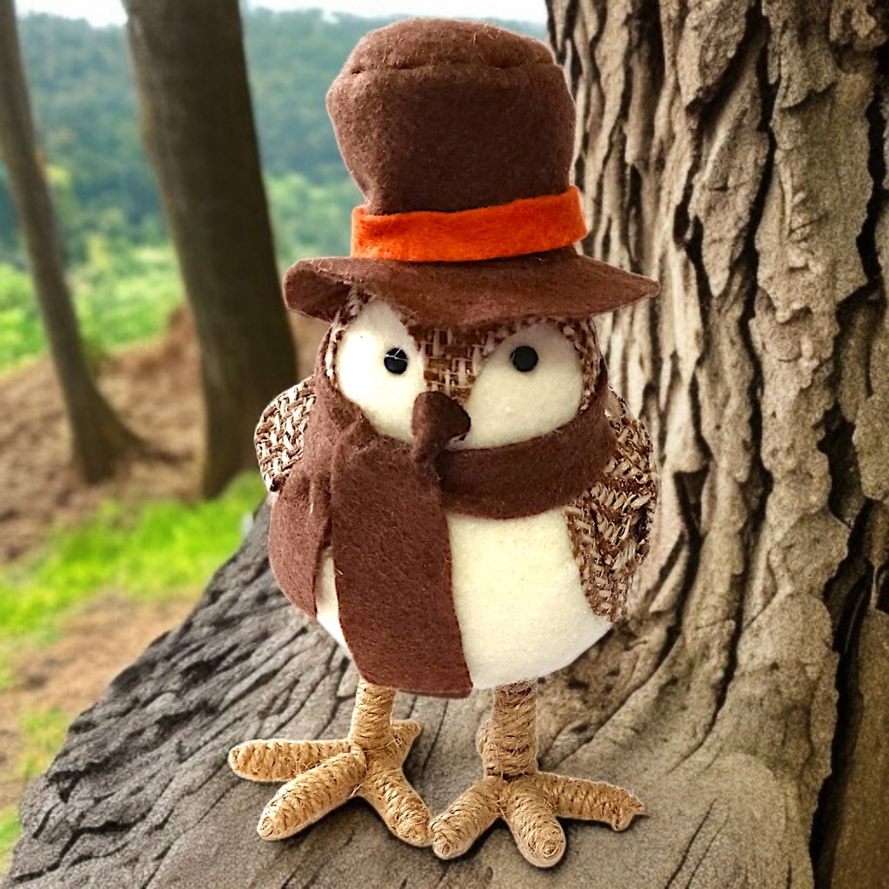 Target Featherly Friends Harvest Bird 2015 FIRST Autumn Felt Top Hat Wondershop - Picture 12 of 14